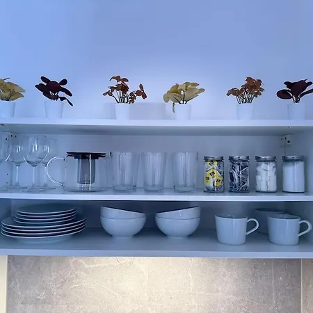 Red Currant - Apartament